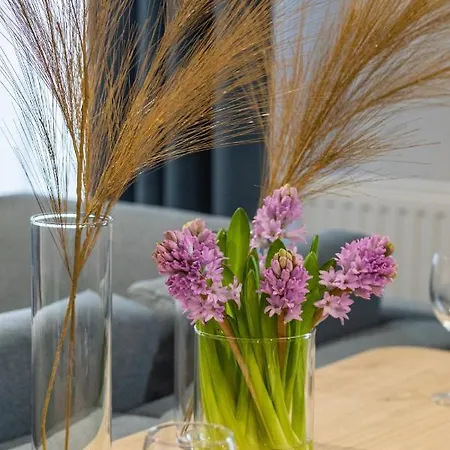 Baltic Marina Sauna & Fitness By Renters Апартаменти Колобжег