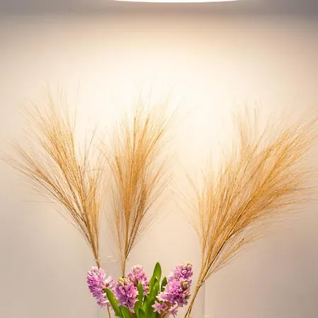 Апартаменти Baltic Marina Sauna & Fitness By Renters