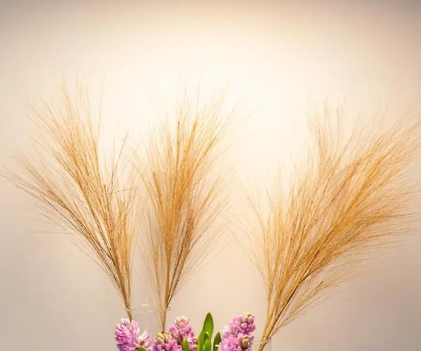 Apartment Baltic Marina Sauna & Fitness By Renters